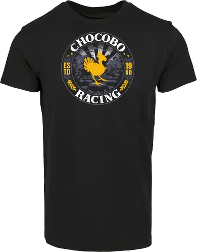 Bird Racing