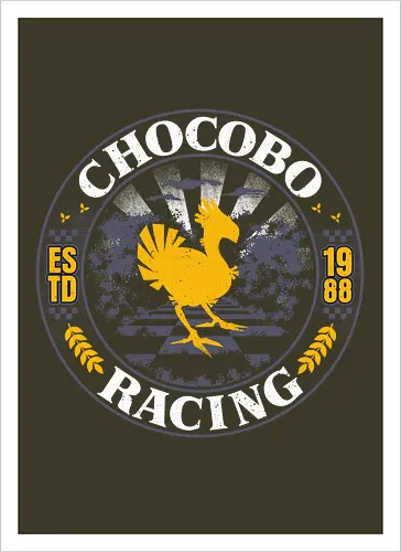 Bird Racing