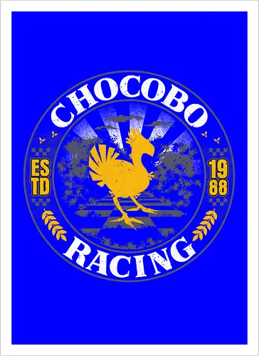 Bird Racing