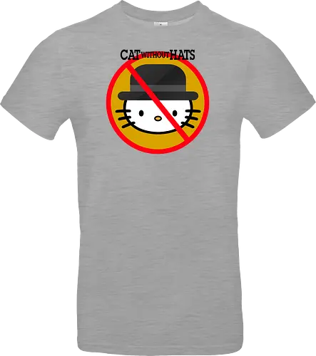 Cat Whitout Hats