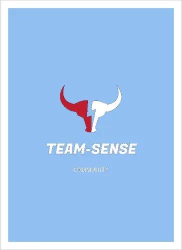 Team-Sense