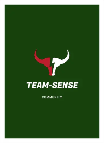 Team-Sense