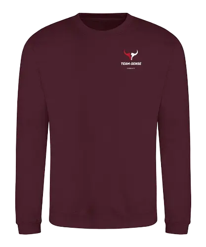 Team-Sense - Team-sense, Emblem - Sweatshirt