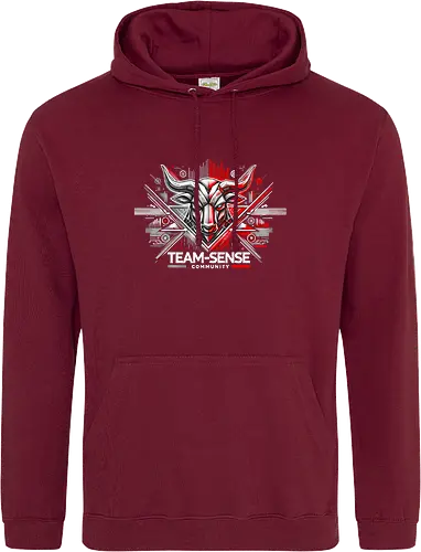 Team-Sense