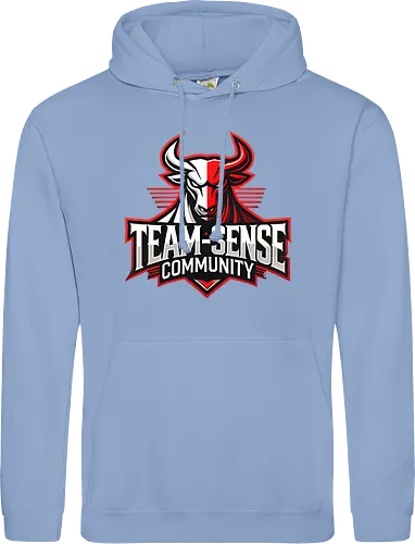 Team-Sense