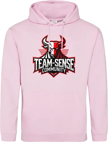 Team-Sense
