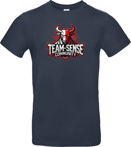 Team-Sense