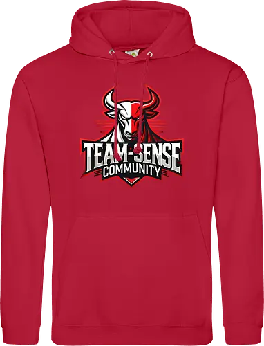 Team-Sense