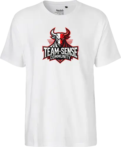 Team-Sense
