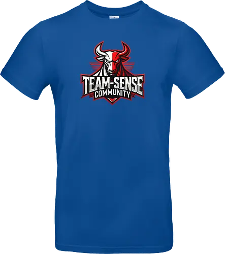 Team-Sense