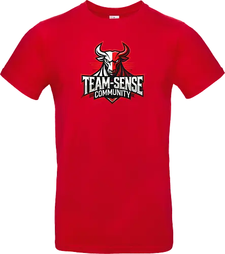 Team-Sense
