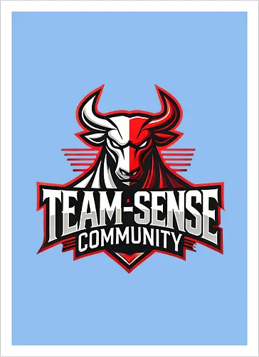 Team-Sense