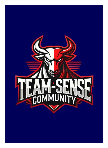 Team-Sense