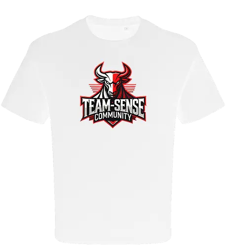 Team-Sense