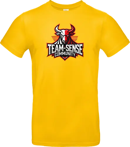 Team-Sense