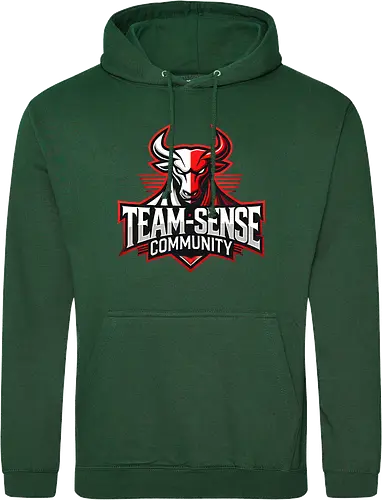 Team-Sense