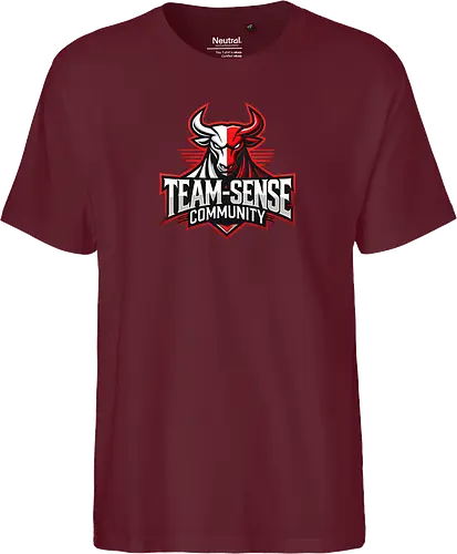 Team-Sense
