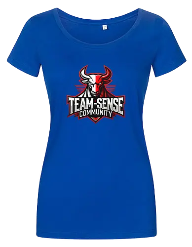 Team-Sense