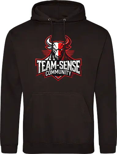 Team-Sense