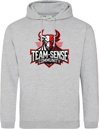 Team-Sense