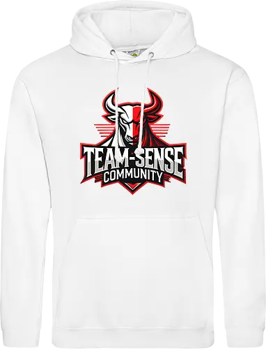 Team-Sense