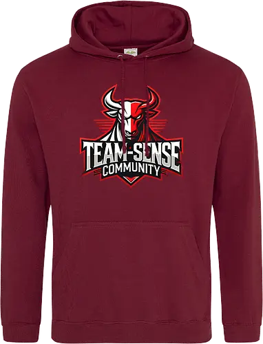 Team-Sense