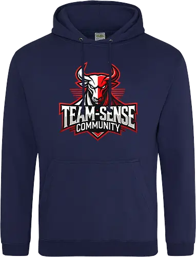 Team-Sense