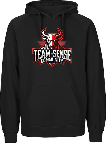 Team-Sense