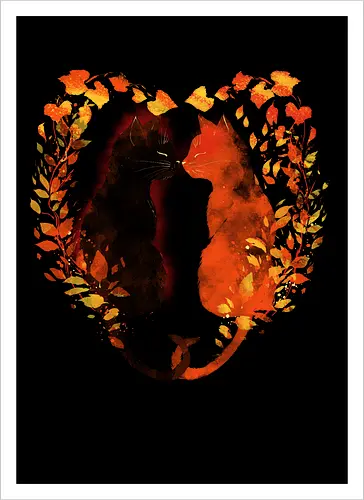 Cats,fall and love