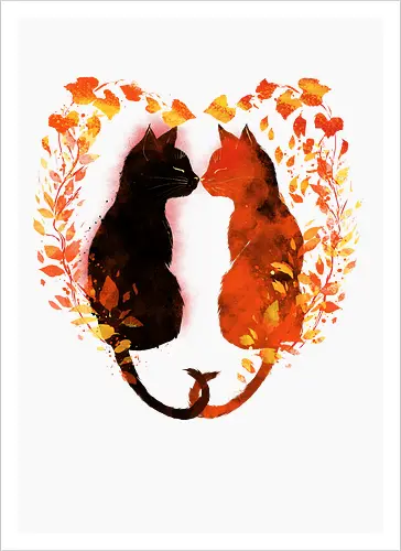 Cats,fall and love
