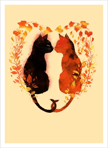 Cats,fall and love