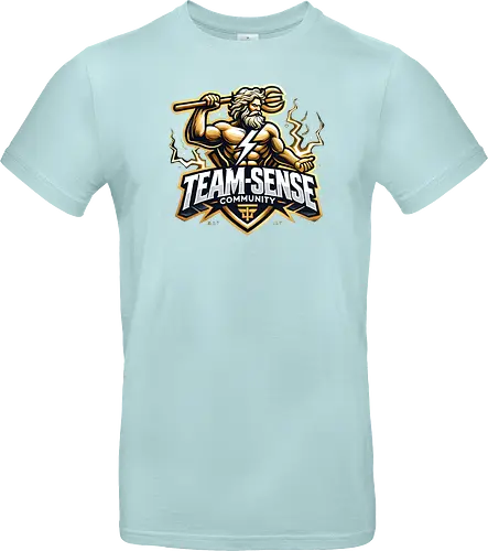 Zeus Team-Sense