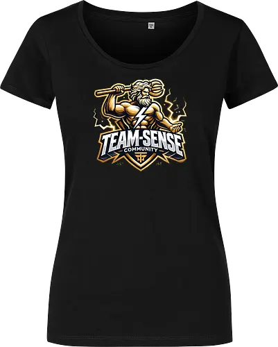 Zeus Team-Sense