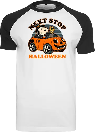Spooky Beagle Car