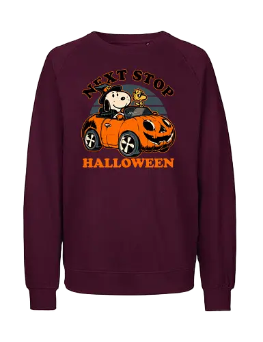 Spooky Beagle Car - halloween, holiday, october, spooky, trick or treat, Vintage, Retro Vintage, classic, Scary, creepy, dog, pet, beagle, bird, car, pumpkin, peanuts, woodstock - Fairtrade Sweatshirt