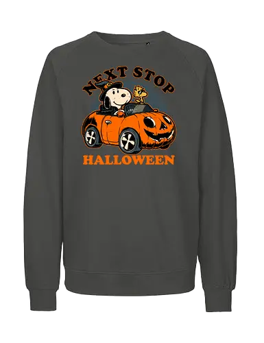 Spooky Beagle Car - halloween, holiday, october, spooky, trick or treat, Vintage, Retro Vintage, classic, Scary, creepy, dog, pet, beagle, bird, car, pumpkin, peanuts, woodstock - Fairtrade Sweatshirt