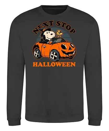 Spooky Beagle Car - halloween, holiday, october, spooky, trick or treat, Vintage, Retro Vintage, classic, Scary, creepy, dog, pet, beagle, bird, car, pumpkin, peanuts, woodstock - Sweatshirt