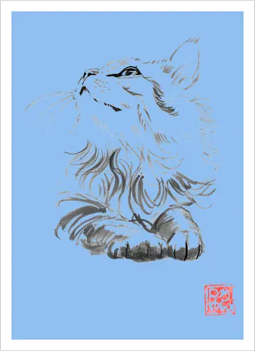 happy cat