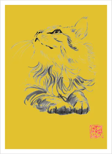 happy cat