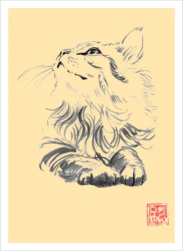 happy cat