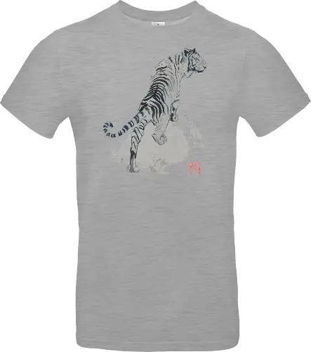 tiger on the rocks