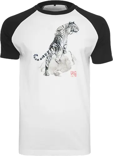 tiger on the rocks