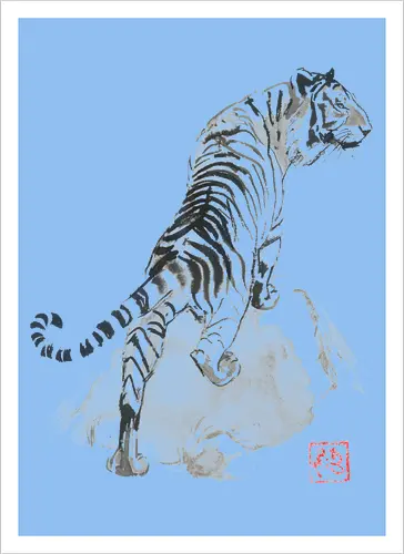 tiger on the rocks