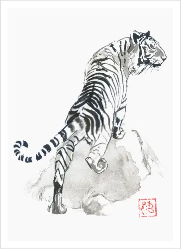 tiger on the rocks