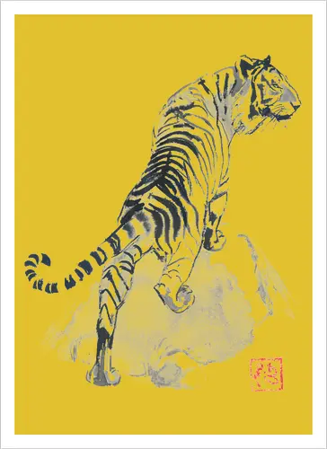 tiger on the rocks