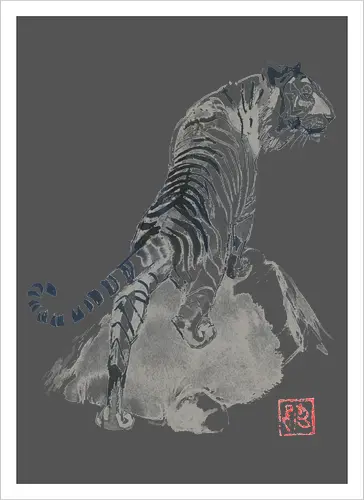 tiger on the rocks
