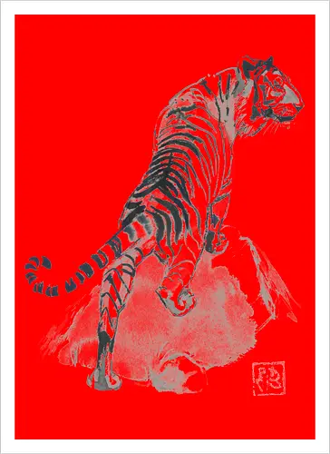 tiger on the rocks