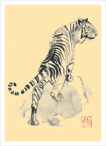 tiger on the rocks