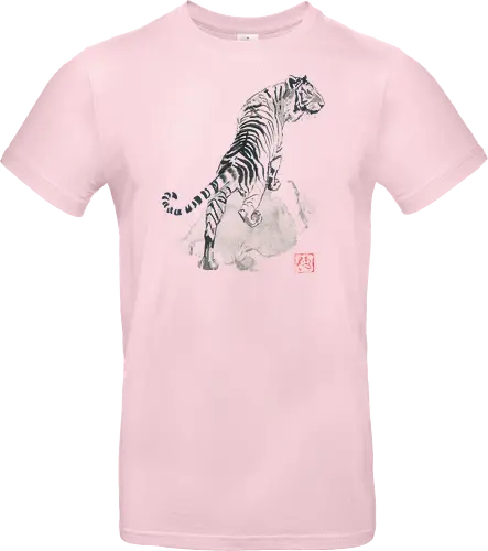 tiger on the rocks