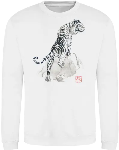 tiger on the rocks